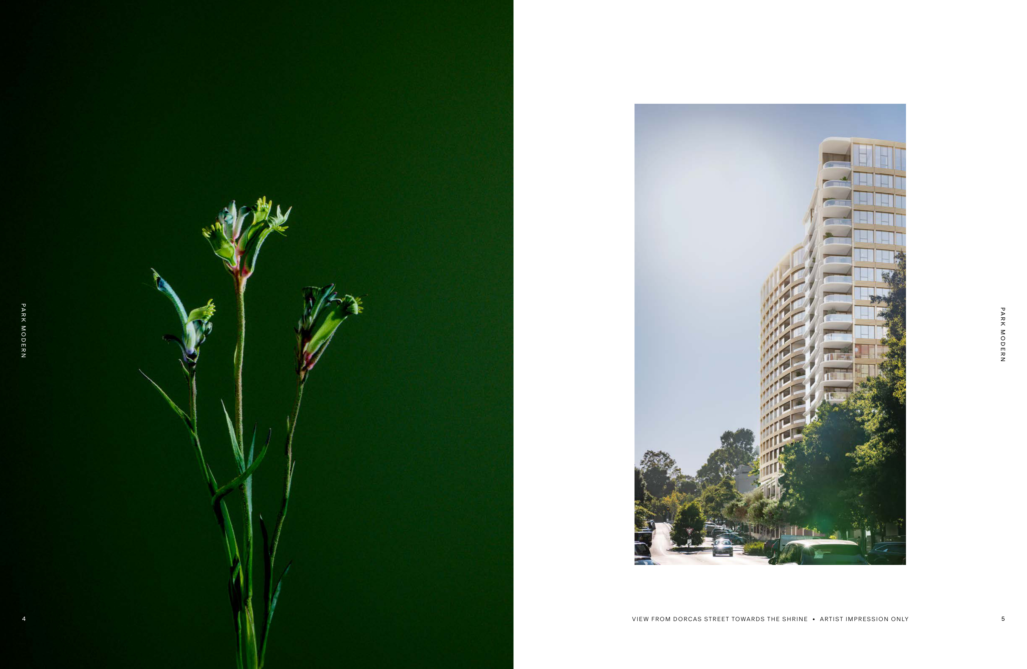 Park Modern image 3
